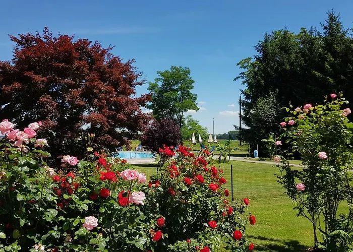 Zum Lindenhof Hotel 3*